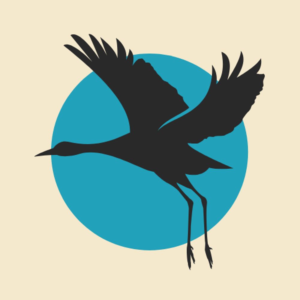 Old City Lowdown | St. Augustine Local Newsletter