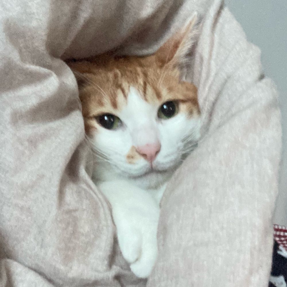 어잉