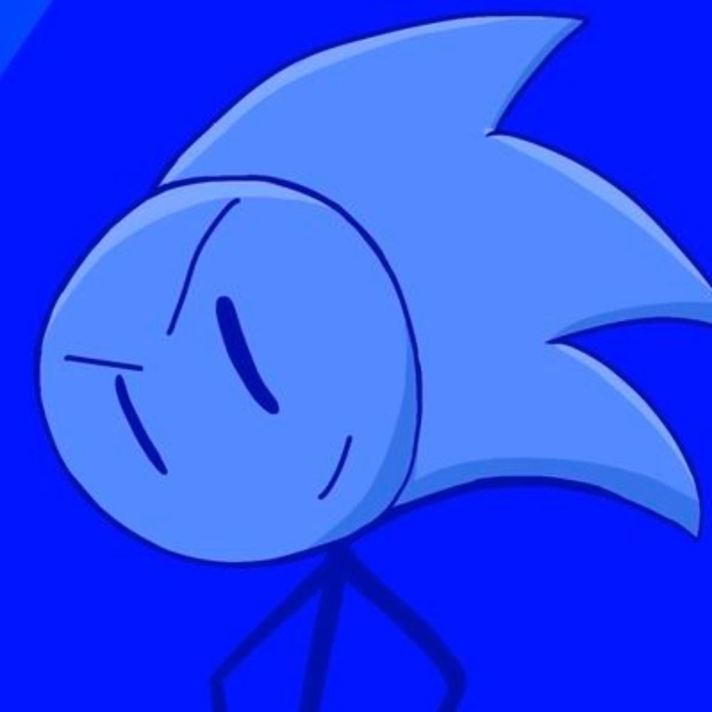 TheSonicster