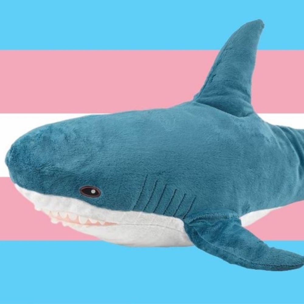 Blahaj Felix