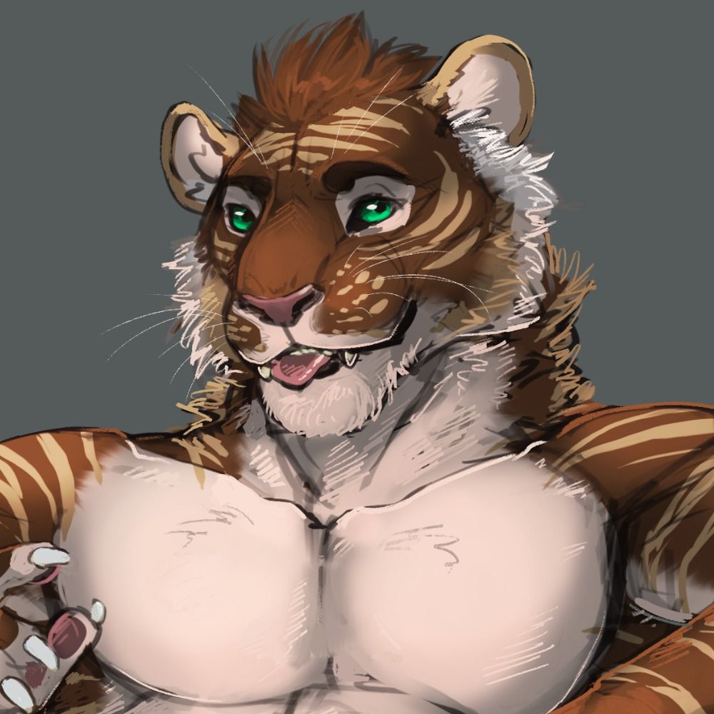 Kurroe The Coffee Tiger ☕ 🐯