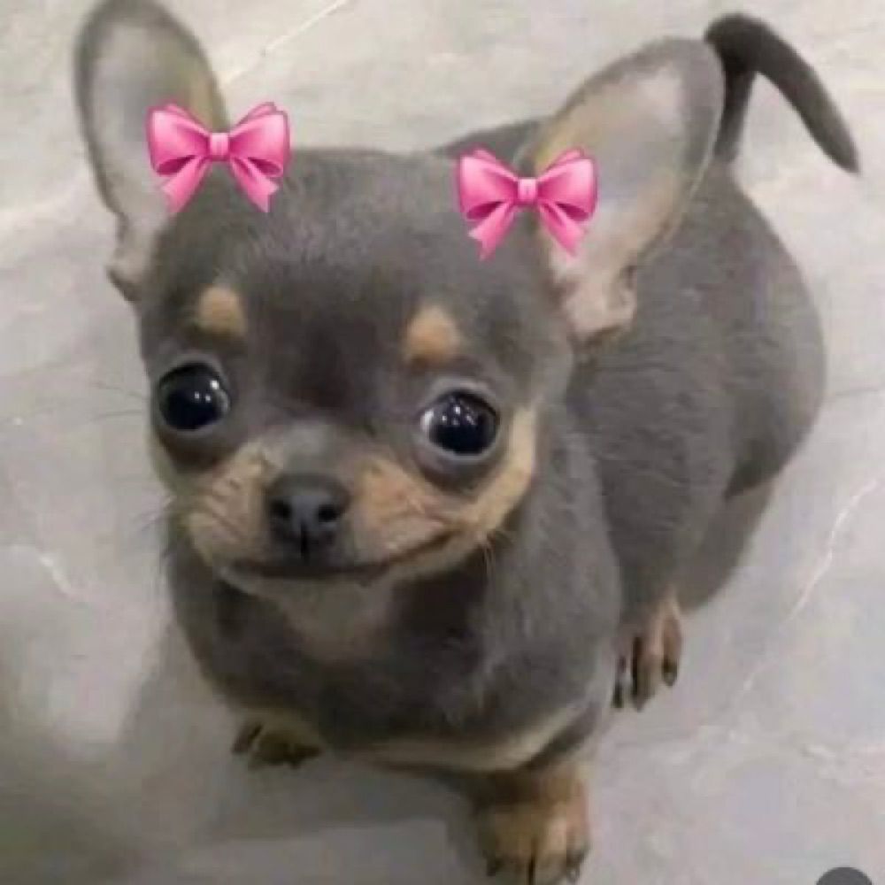 Khunwoonwhan