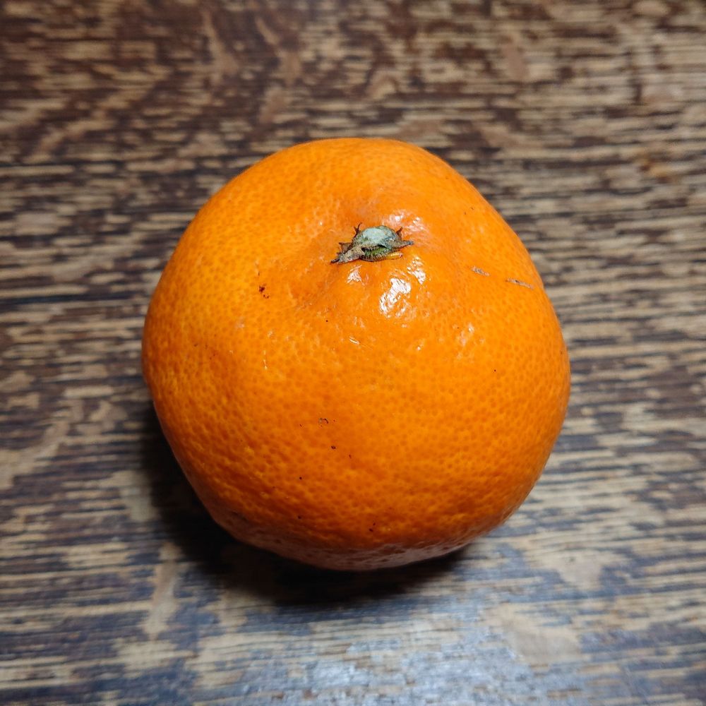 notsumichi