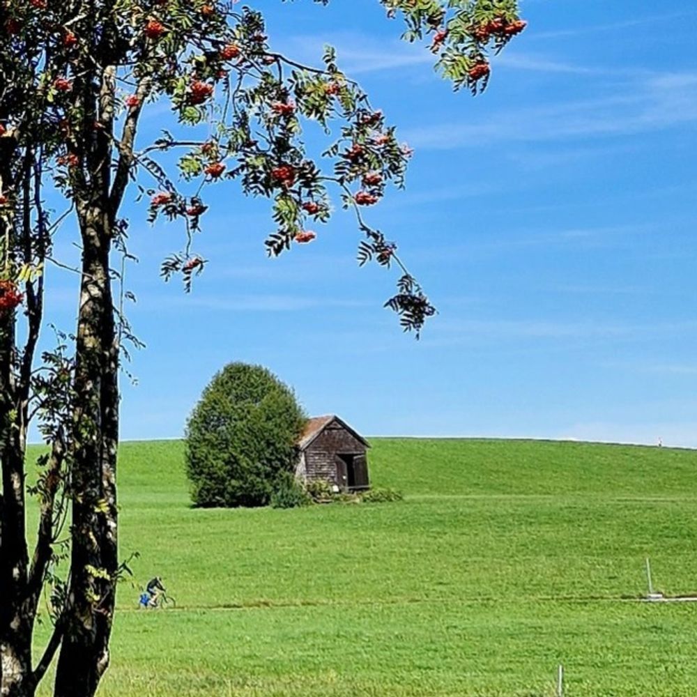 BellaLuna