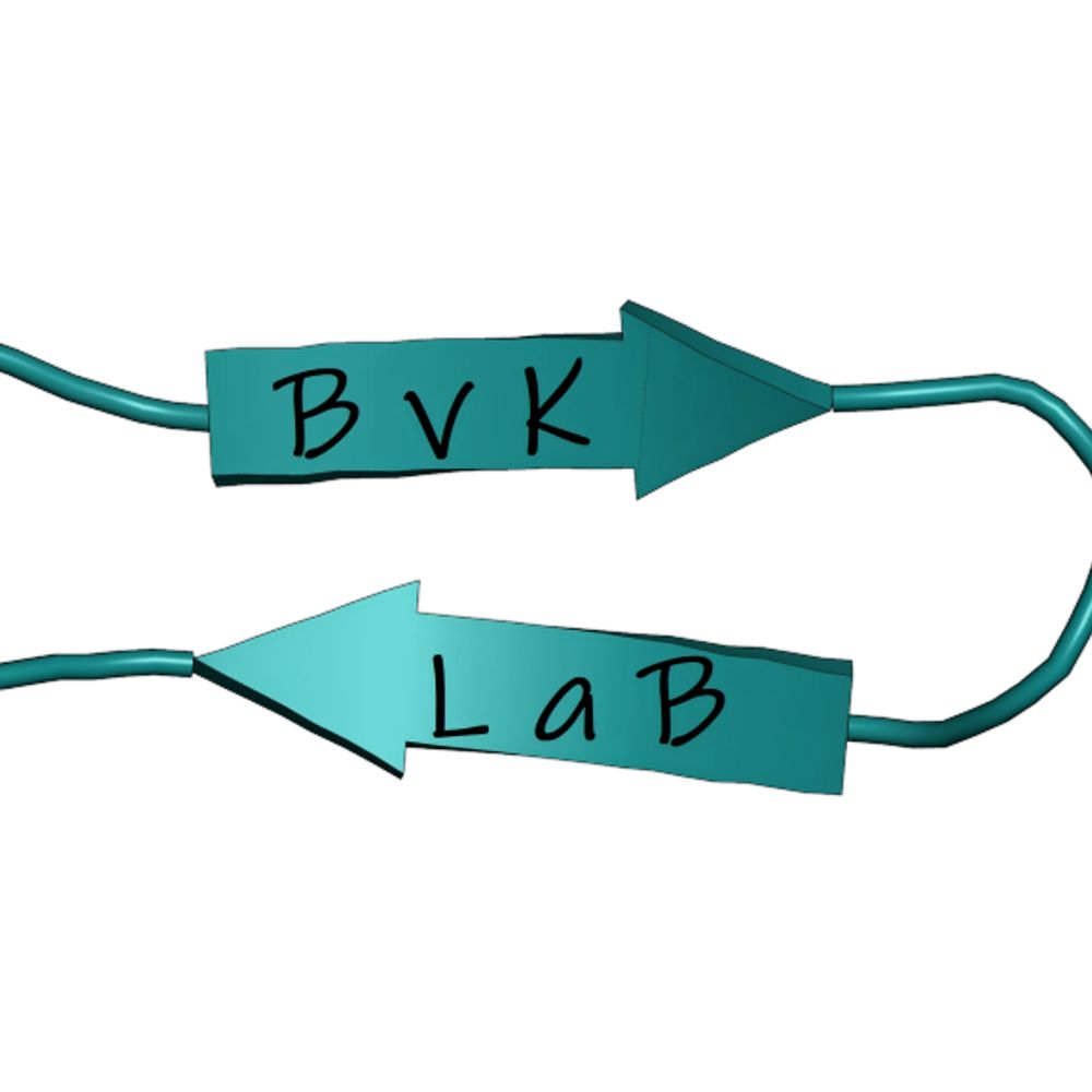 BvK LaB