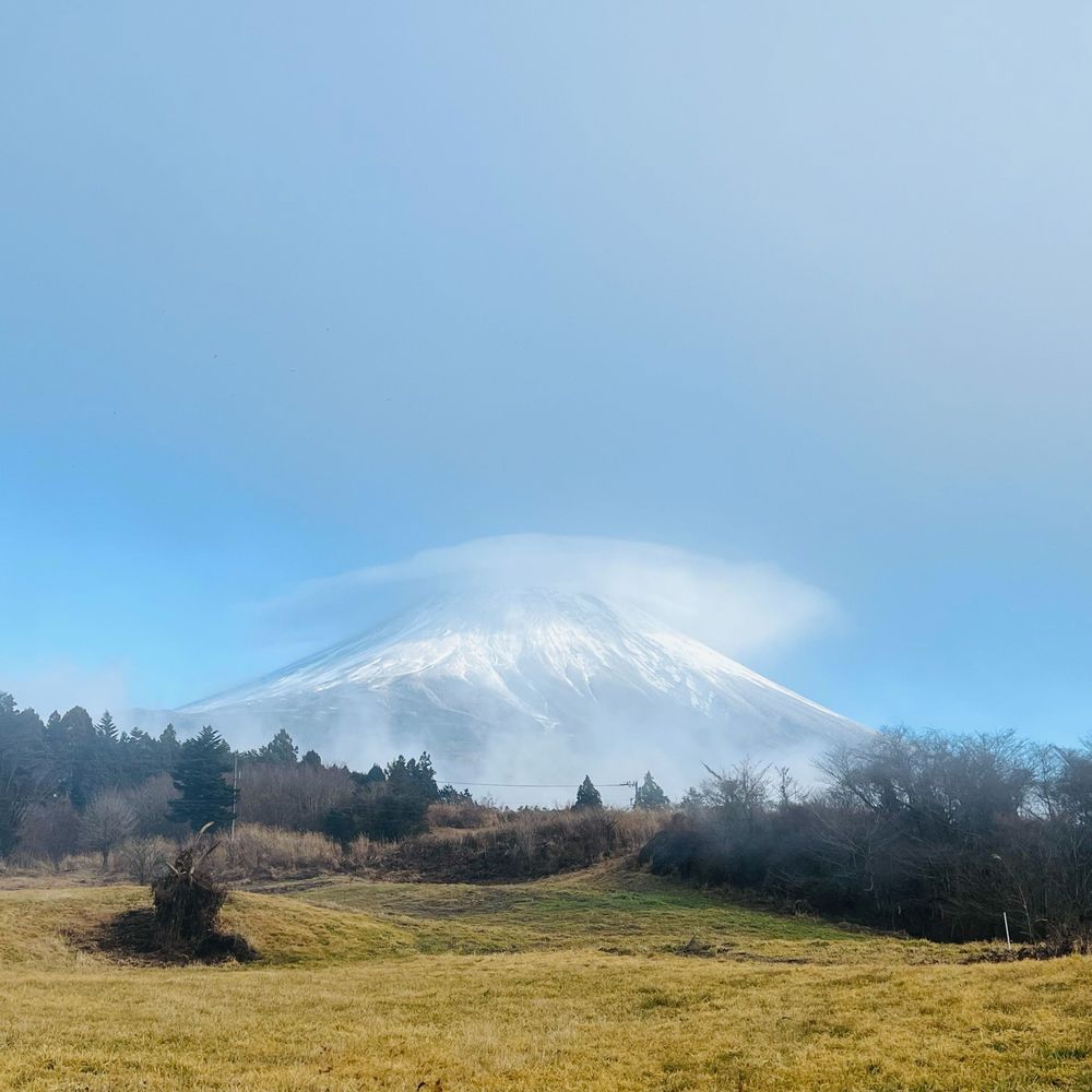 ぐっちょん