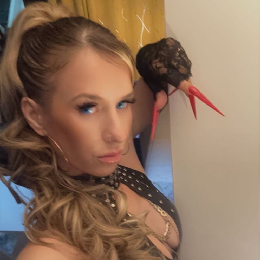 Miss Lady Ashley