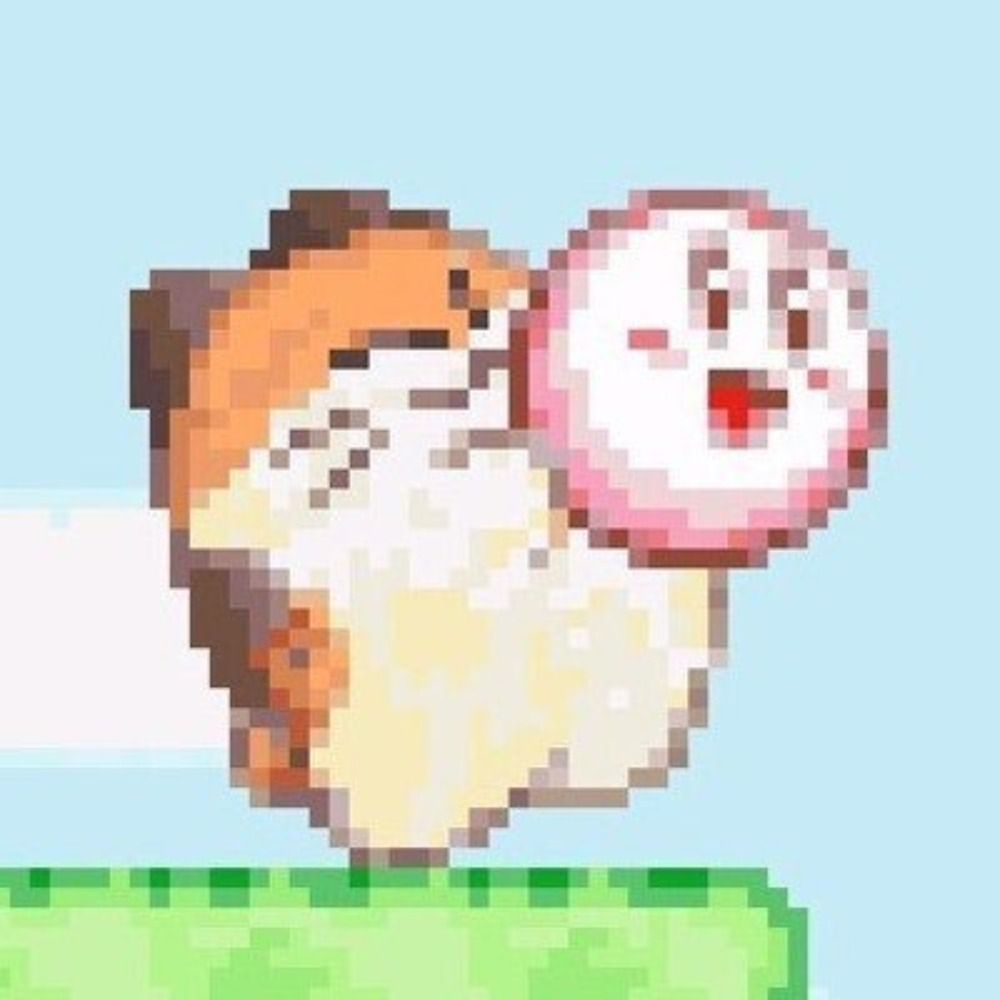 @sk@catcatnya.com