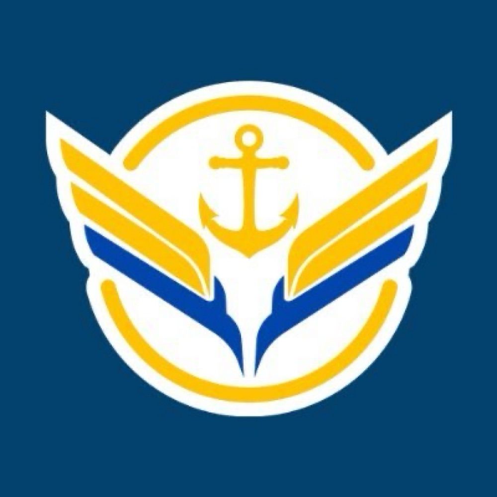 ⚓️🌊VFleet Project✈️🚢