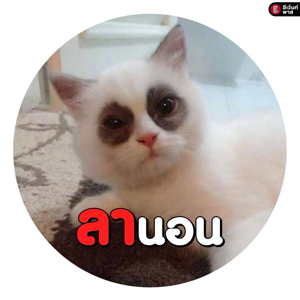 ขยันวันนี้สบายวันไหน