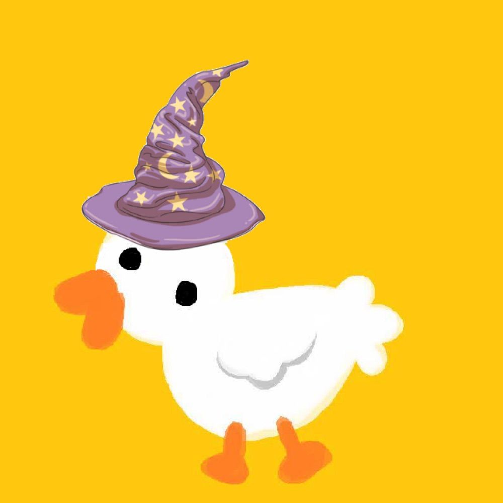 Duck Wizards