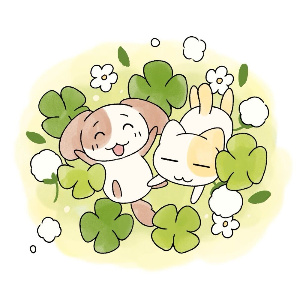 세탁