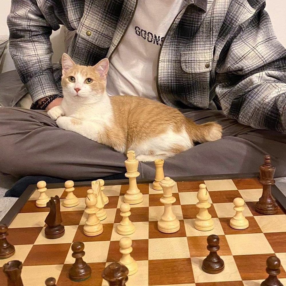ChessOnTheHill