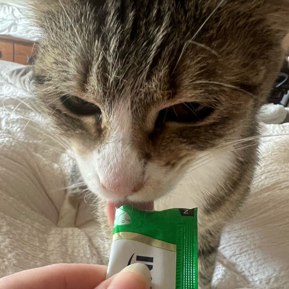 Basil Bean