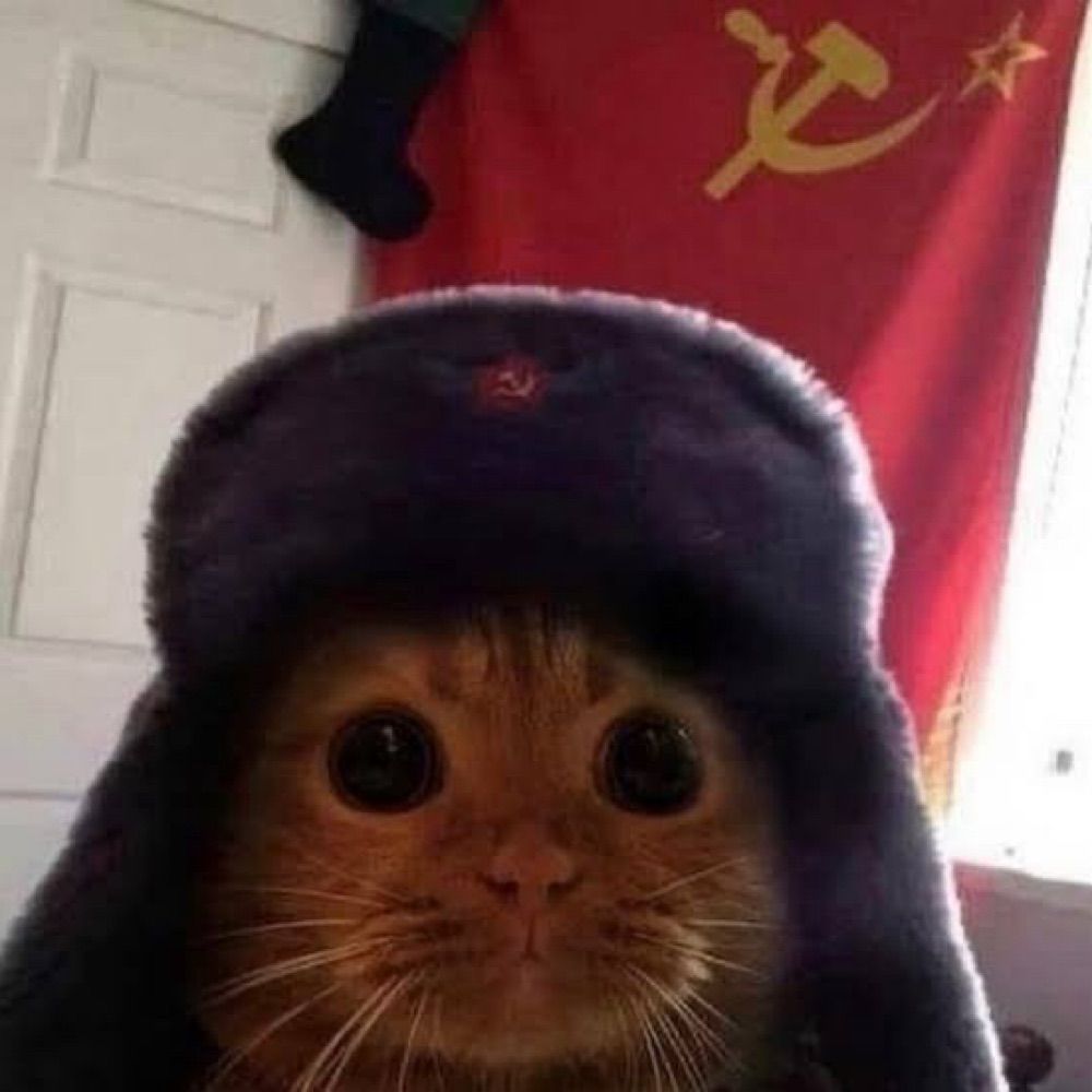 gatinha comunista