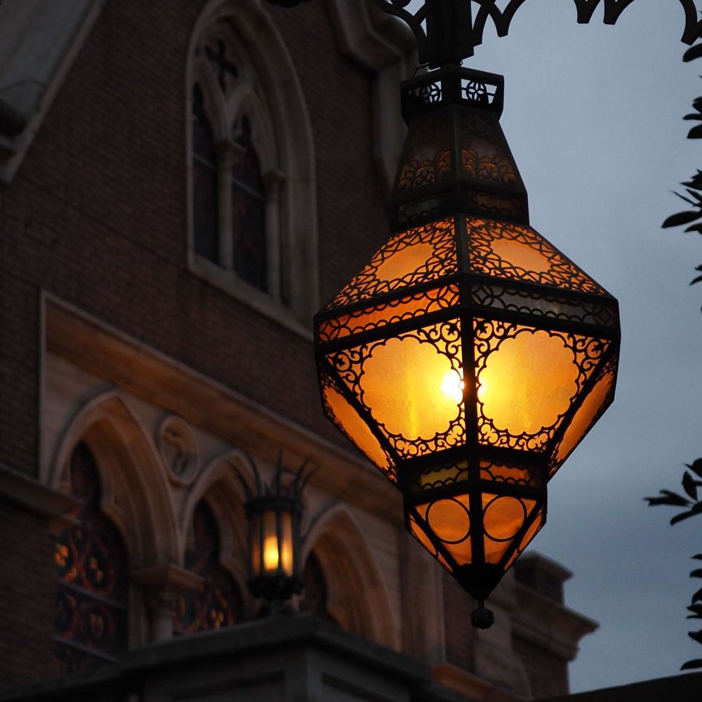 rozemist.bsky.social