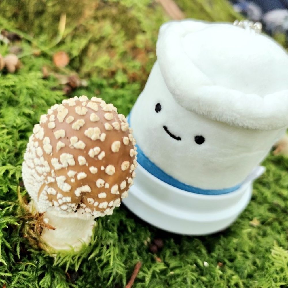 ぼらきち