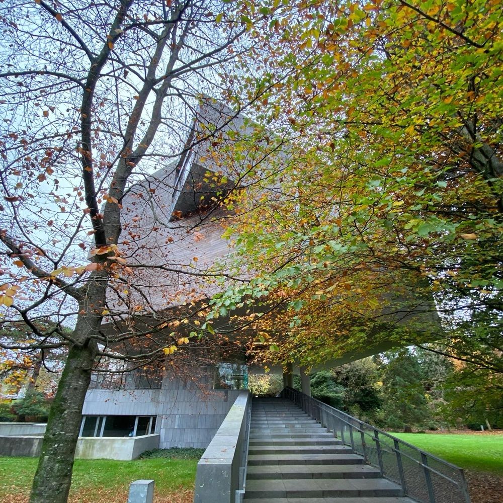 The Glucksman