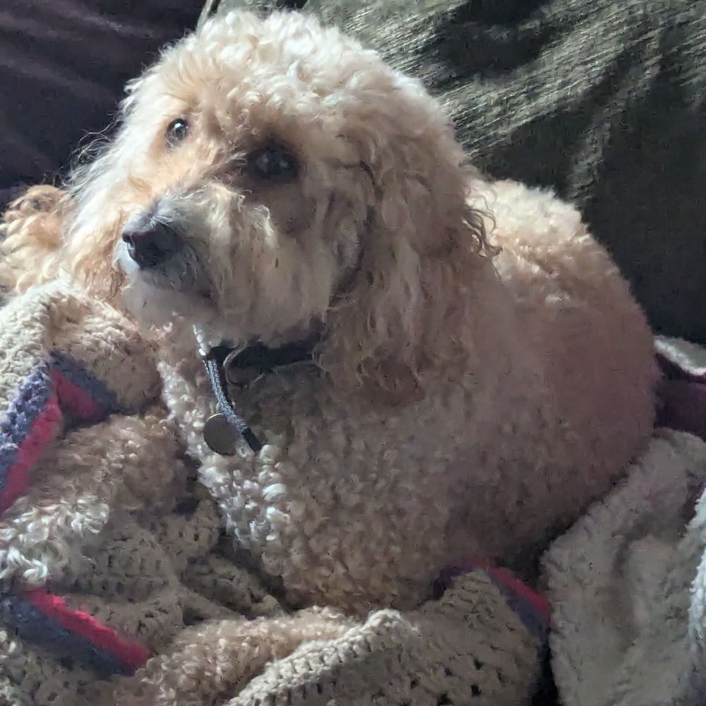 Sam