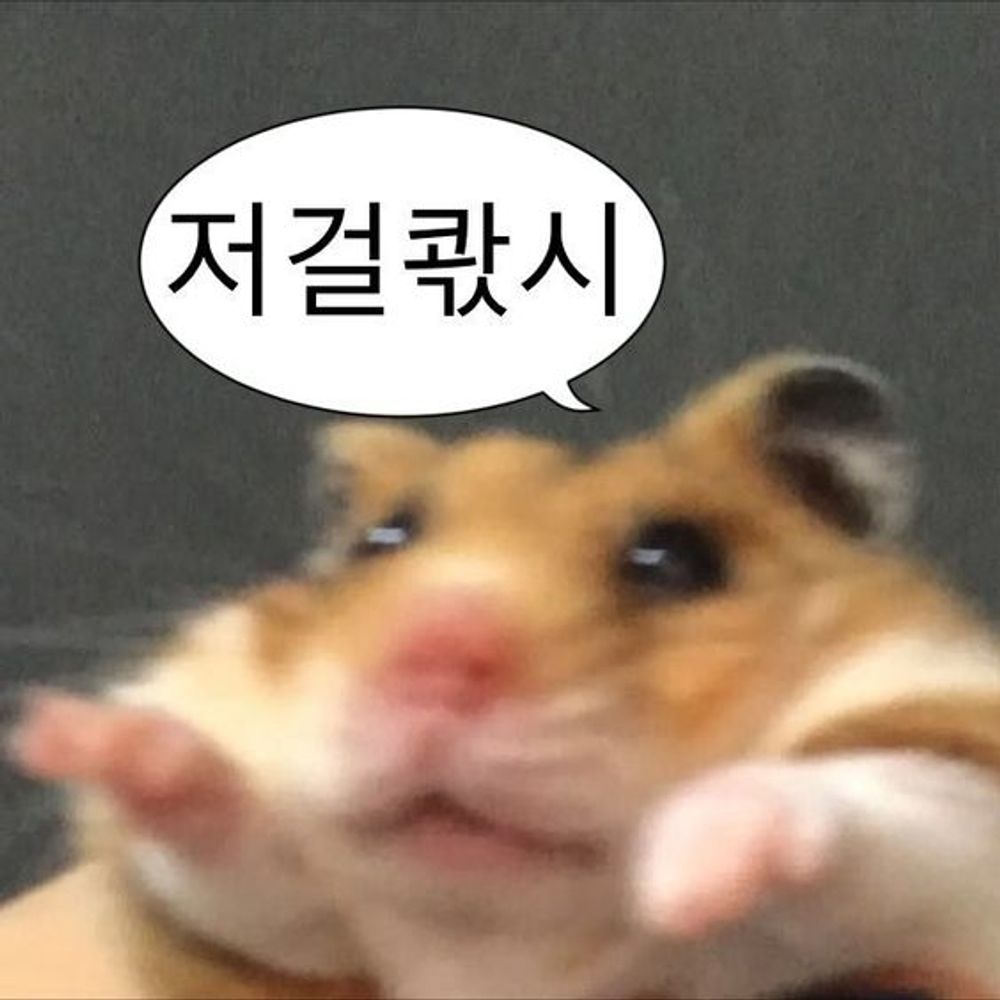 프리백