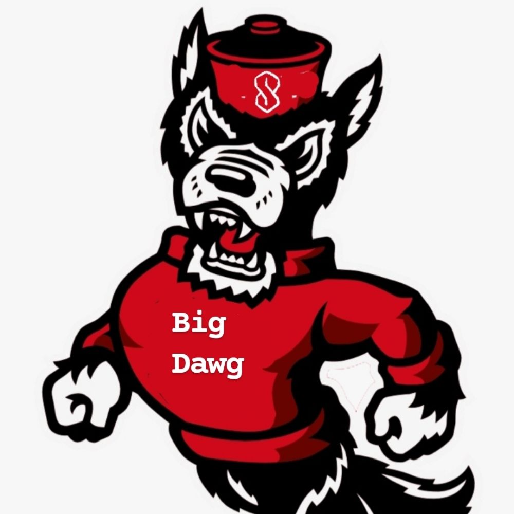 Profile picture bigdawgsocialism.bsky.social