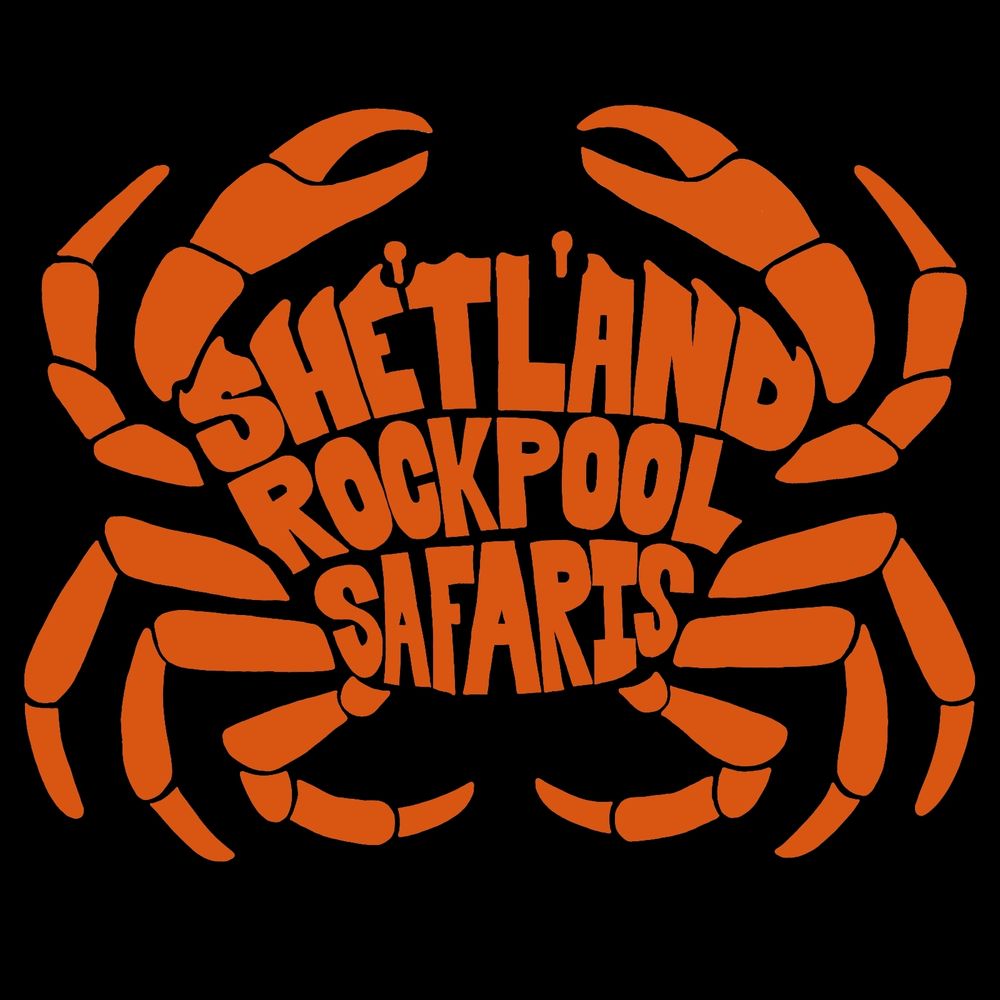 Shetland Rockpool Safaris