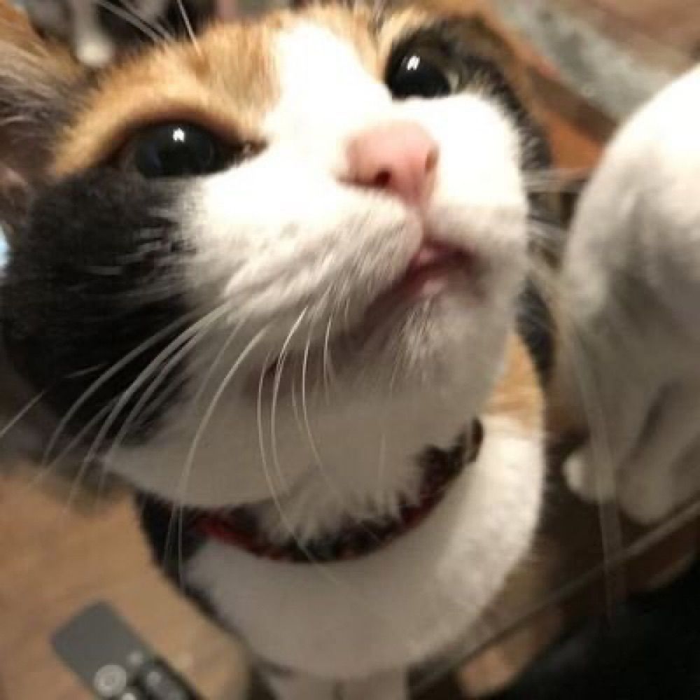ji ¡!