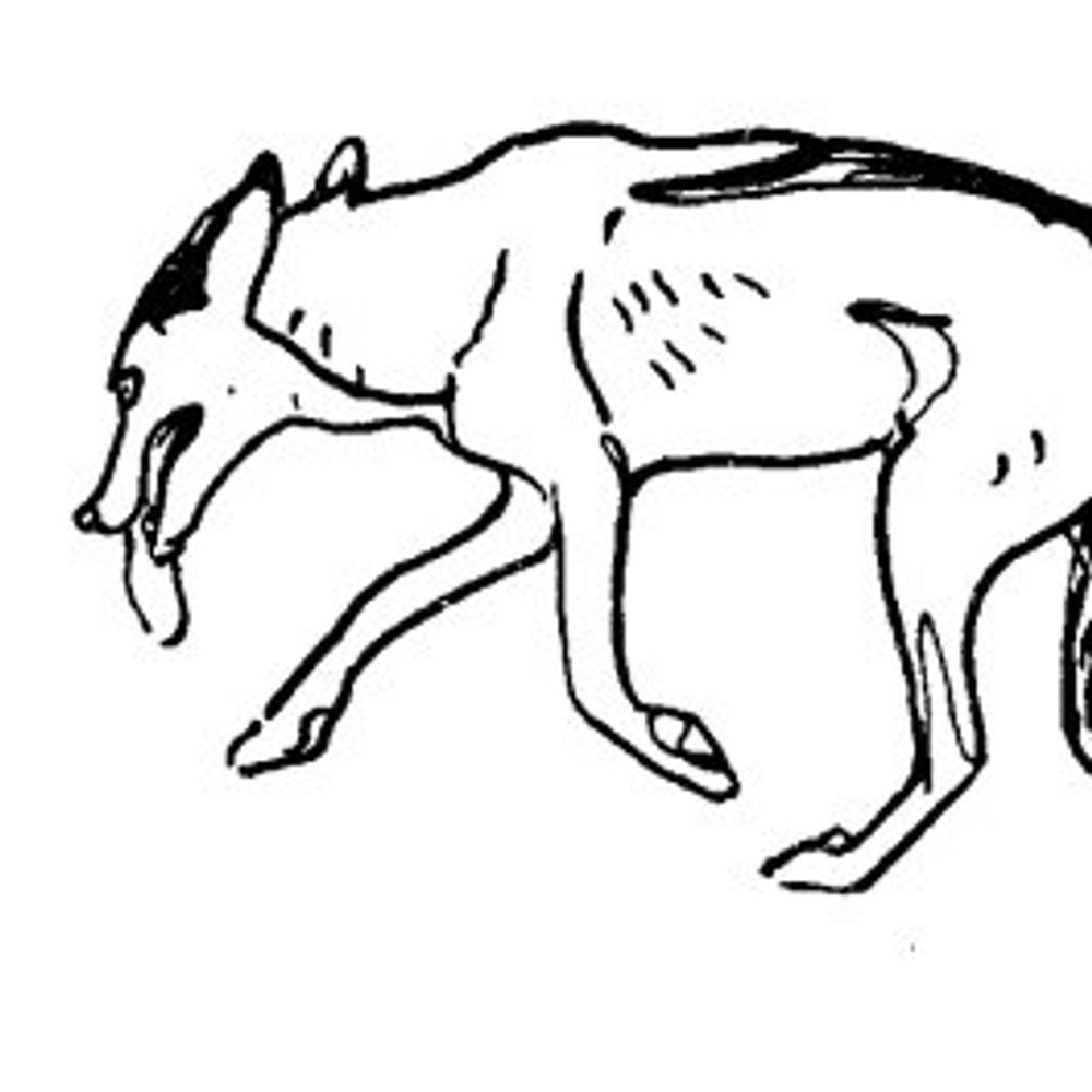 lidane