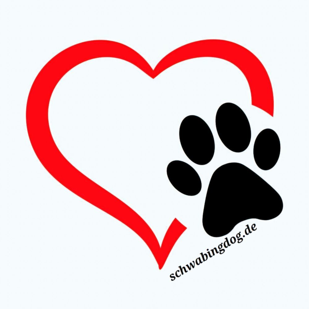 Schwabing Dog