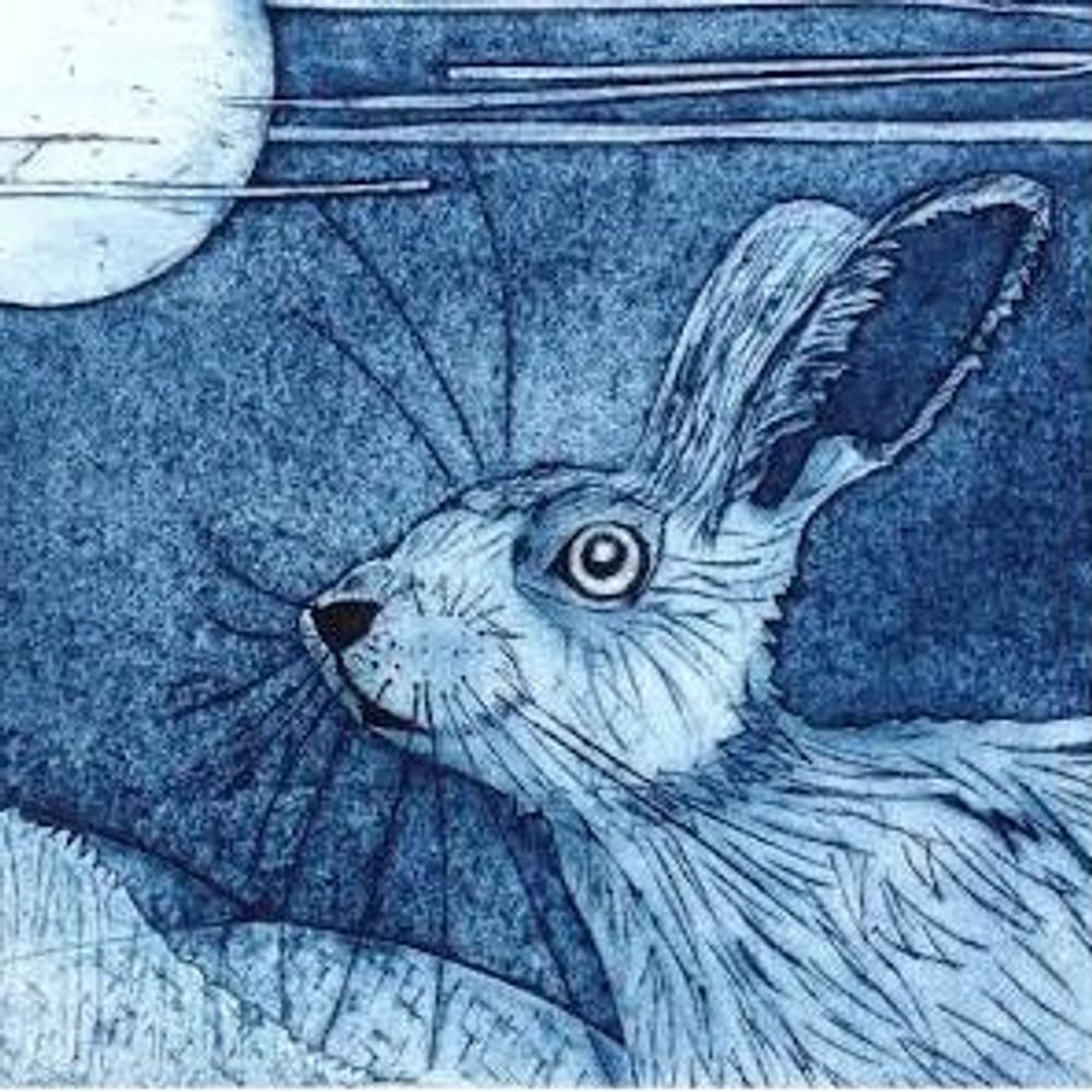 FPL Hare