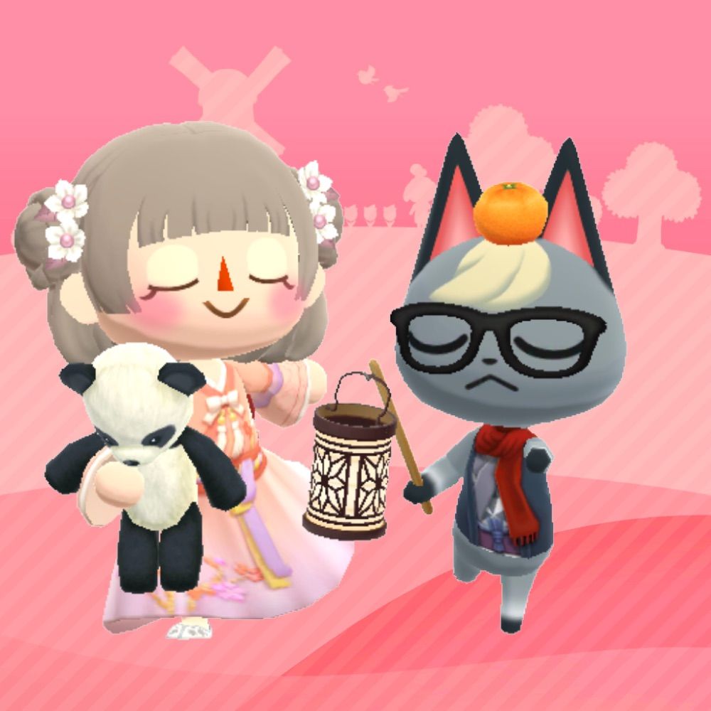 猫茶もち