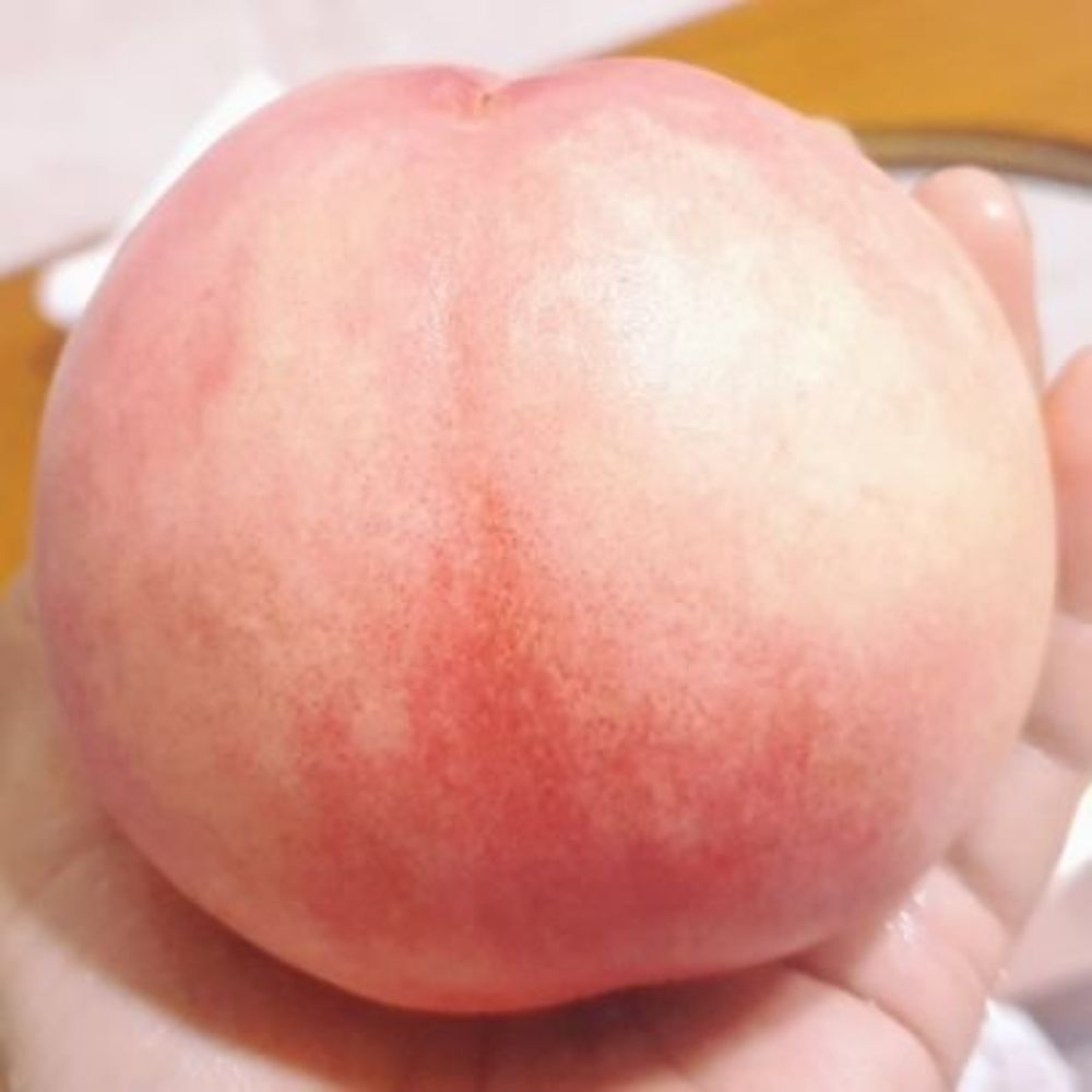 사랑이란야화첩
