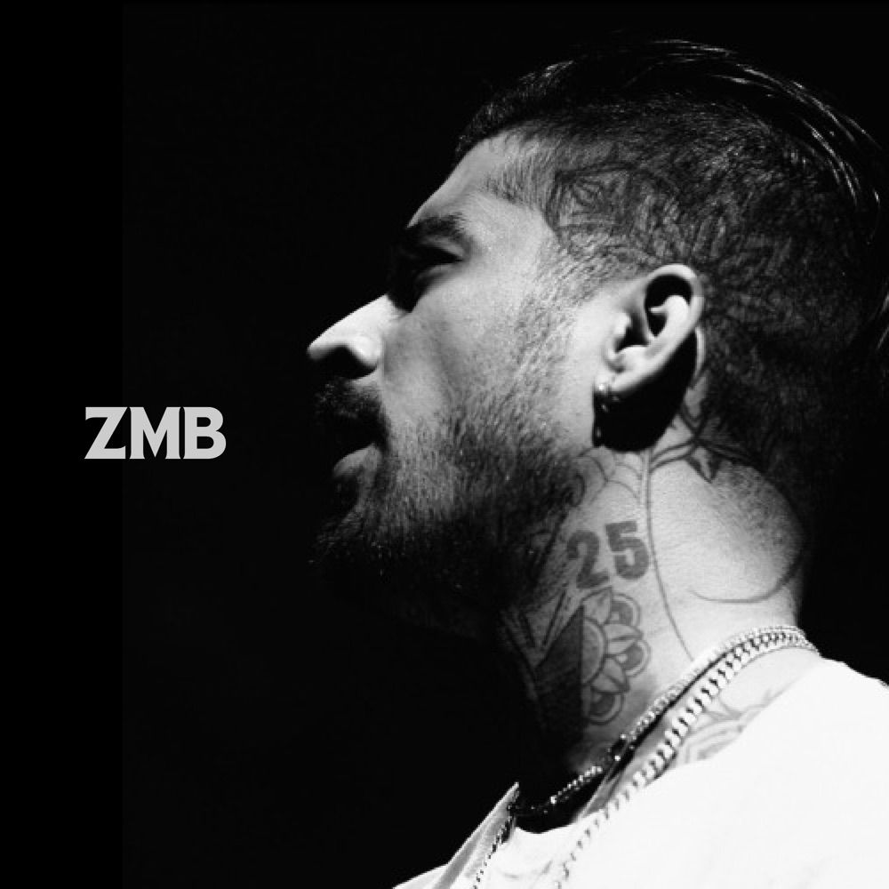 Zayn Malik Brasil