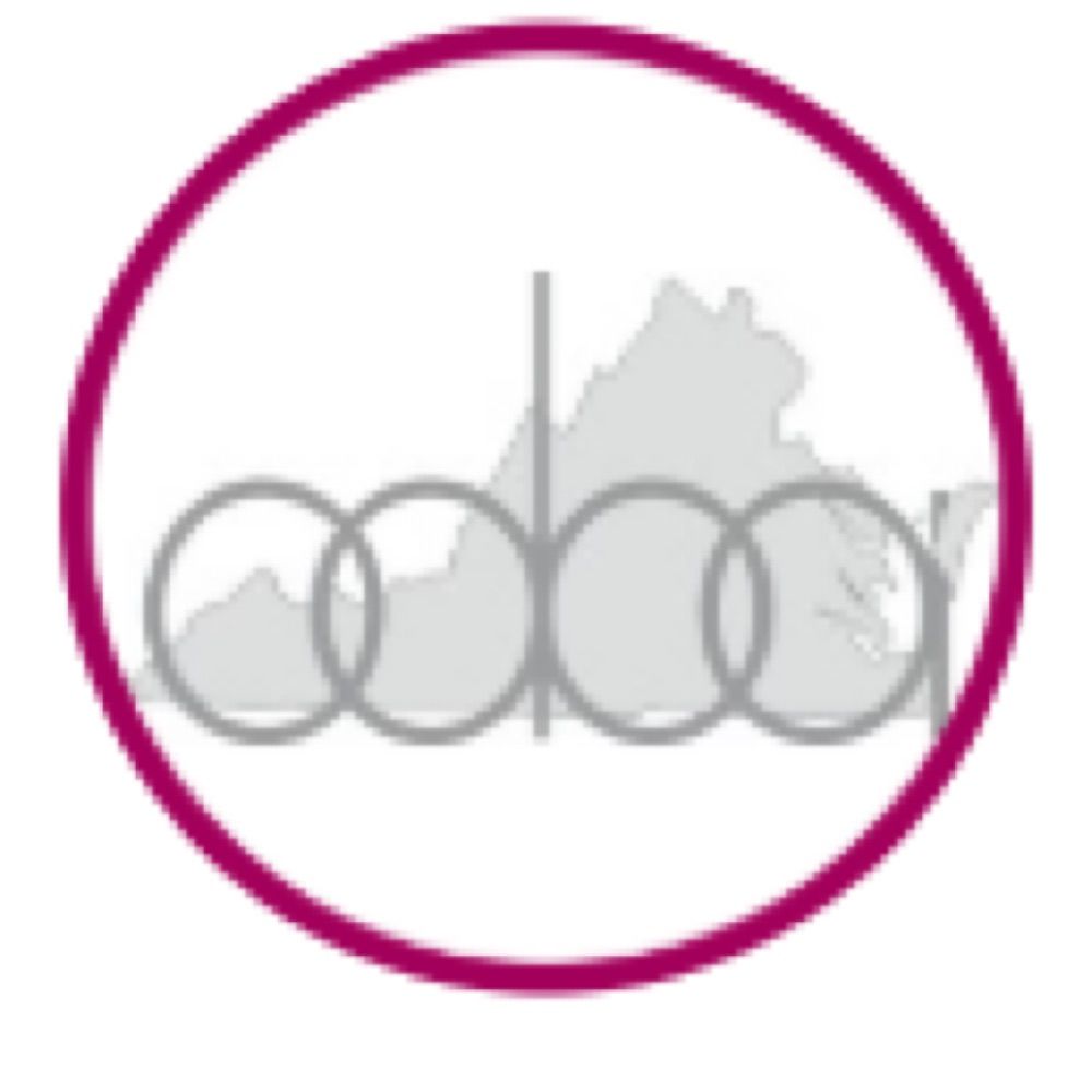 Old Dominion Bar Association
