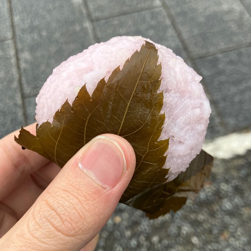 桜餅太郎