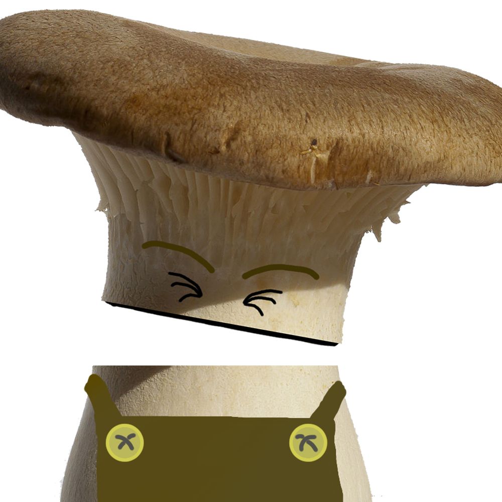Boletyus! 🔨🍄