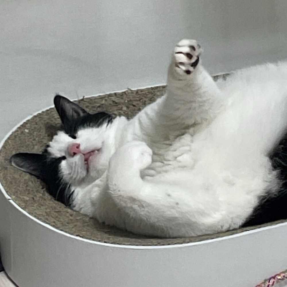 덩이해룽