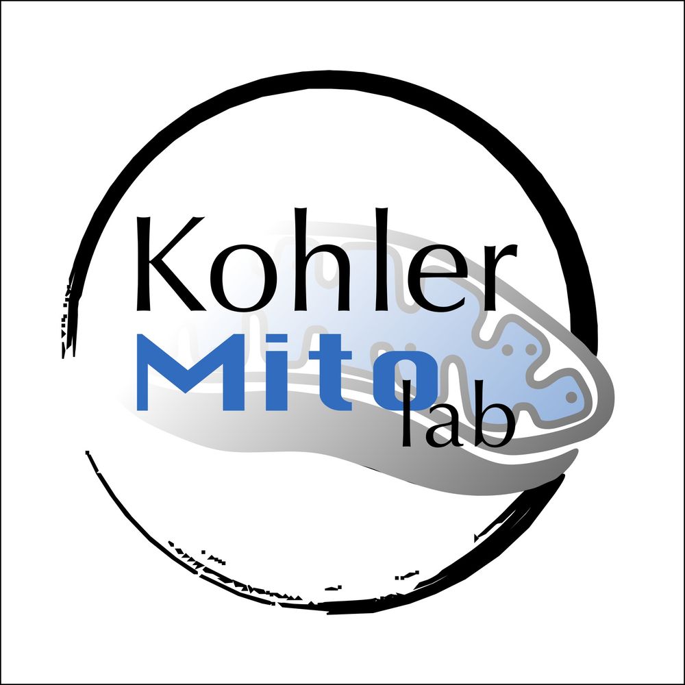 Kohler Mito Lab