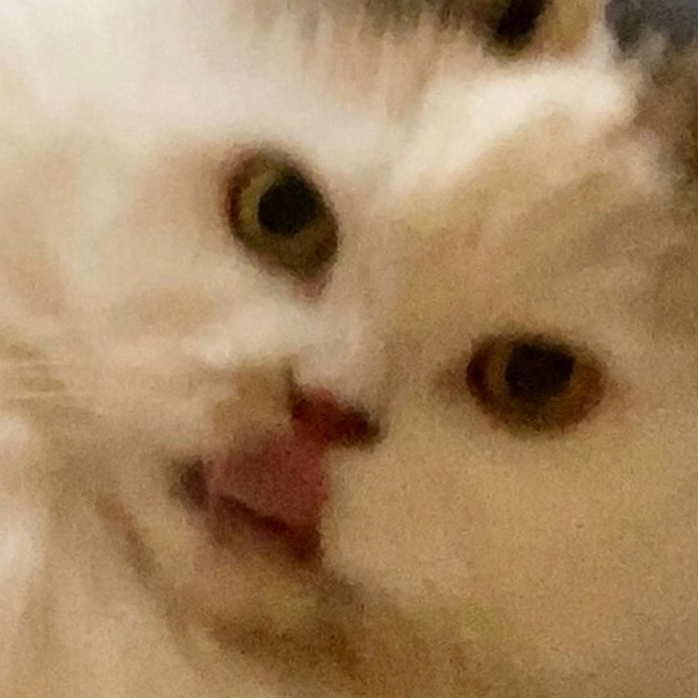 ぴち