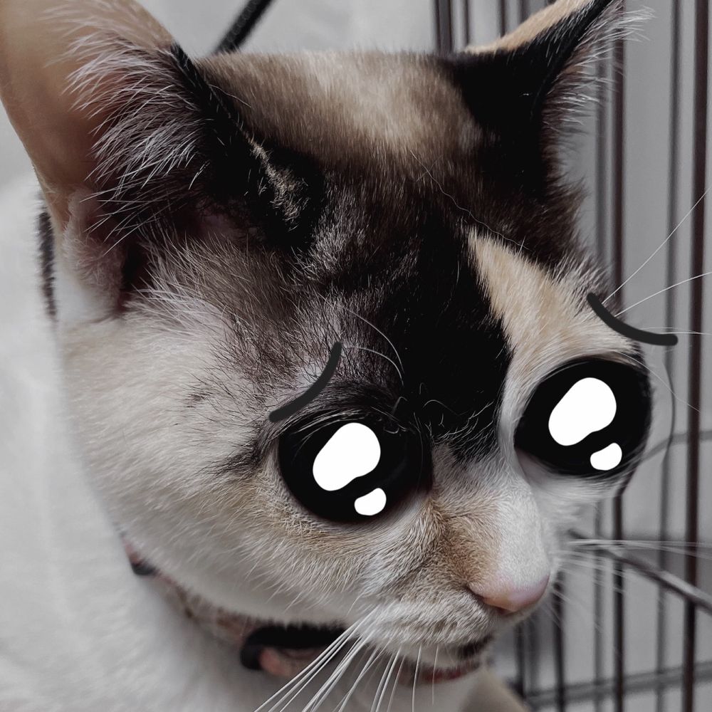 ちょも