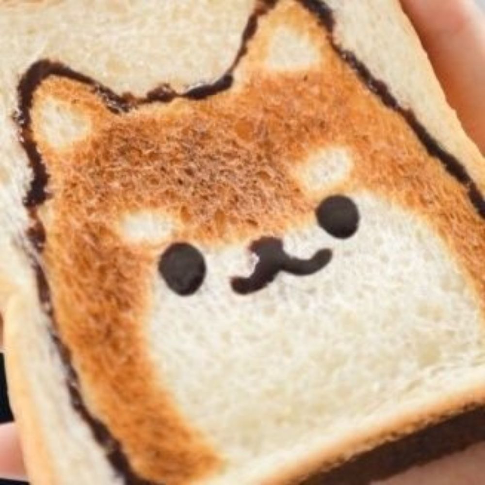 빵🍞