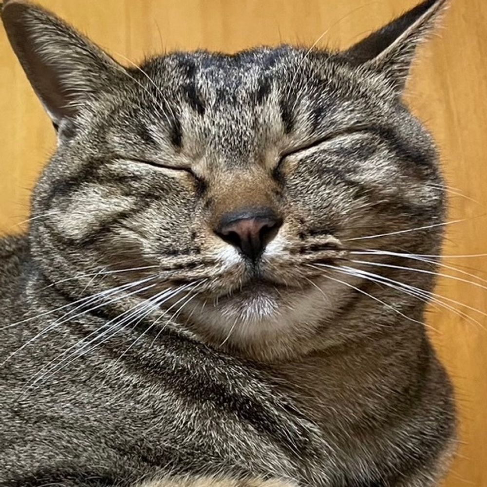 あきこ