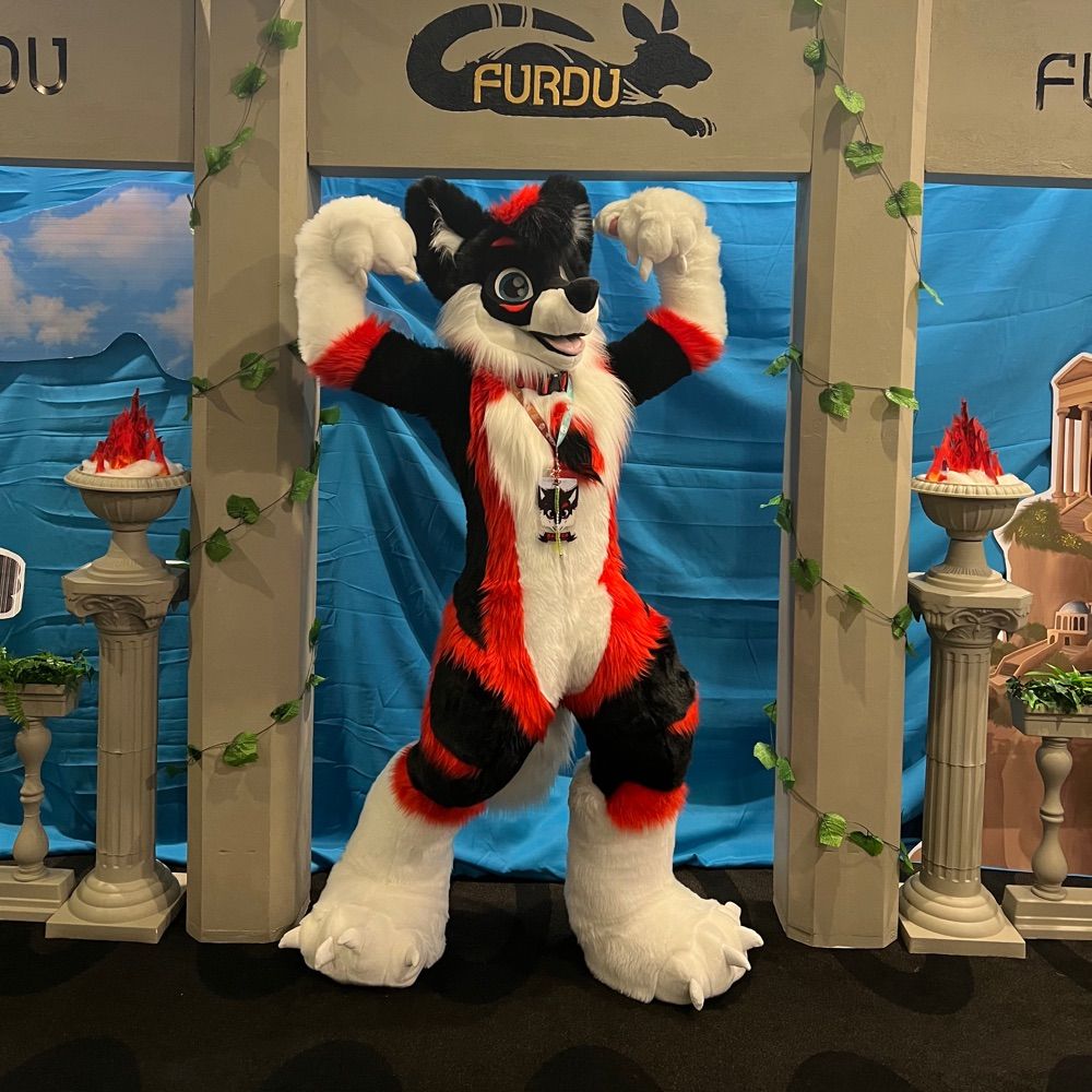 BaxterWolf
