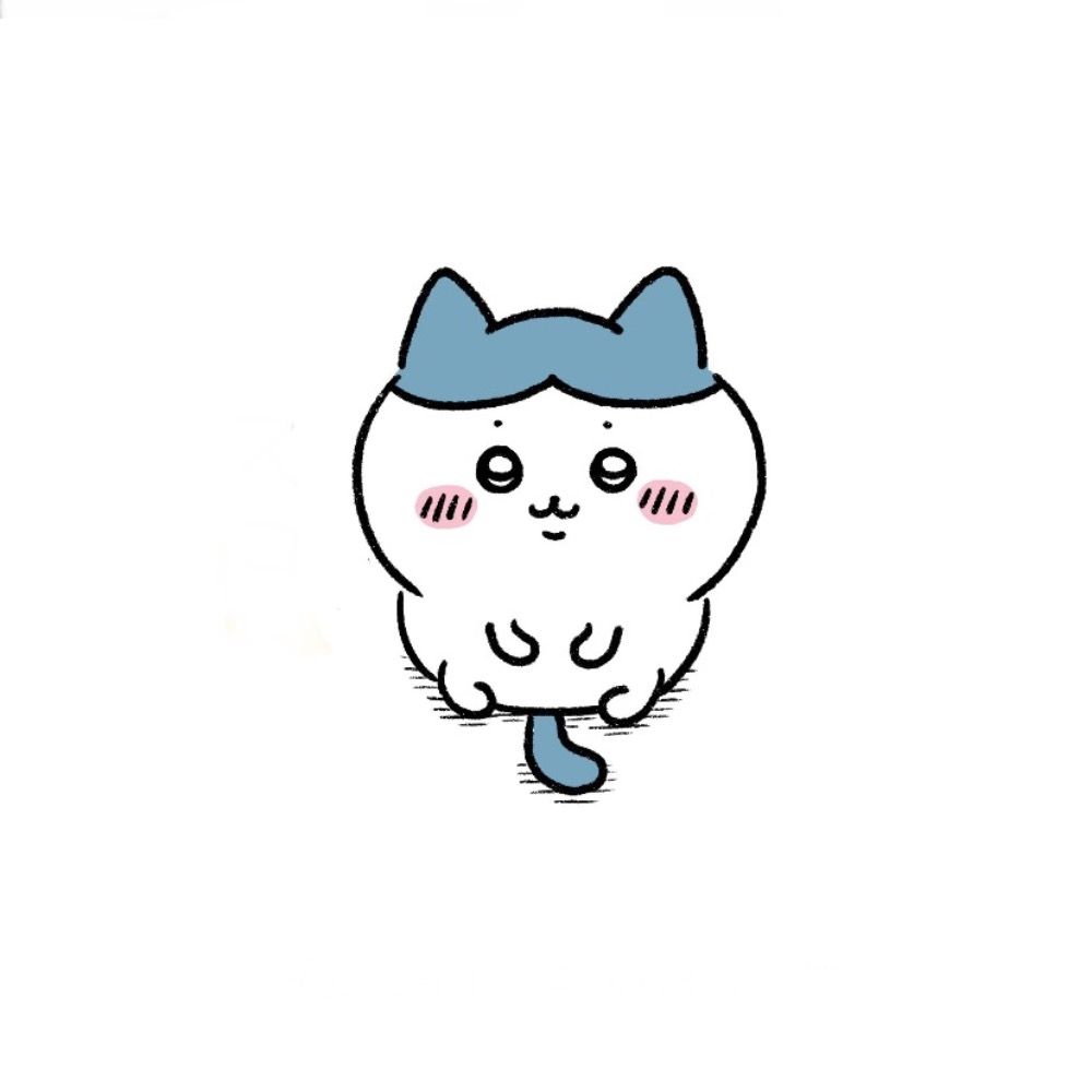 ハチワレ大好き‼︎