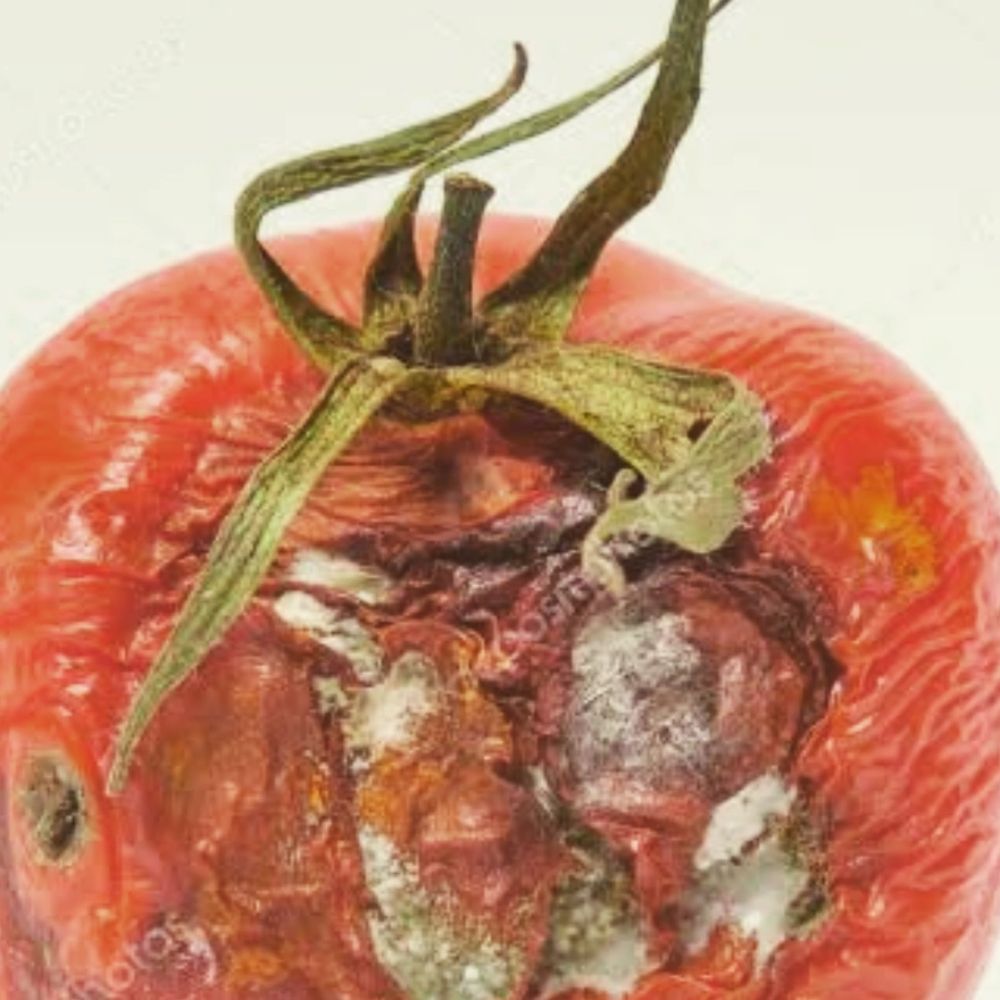 CeMicirculo 