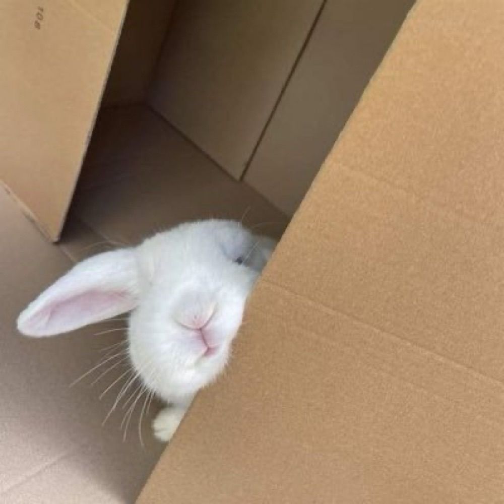 หมีกาตุ่ย🐻🐰