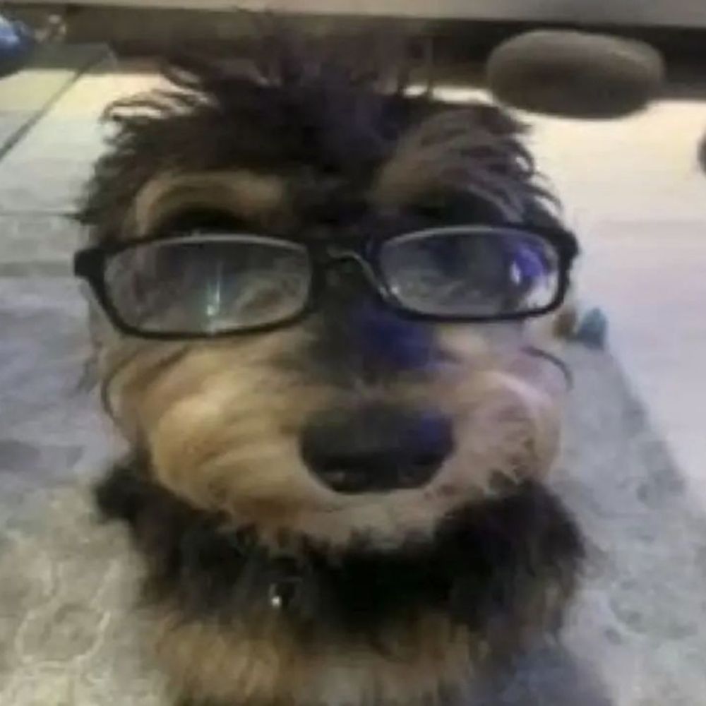 Pedroca