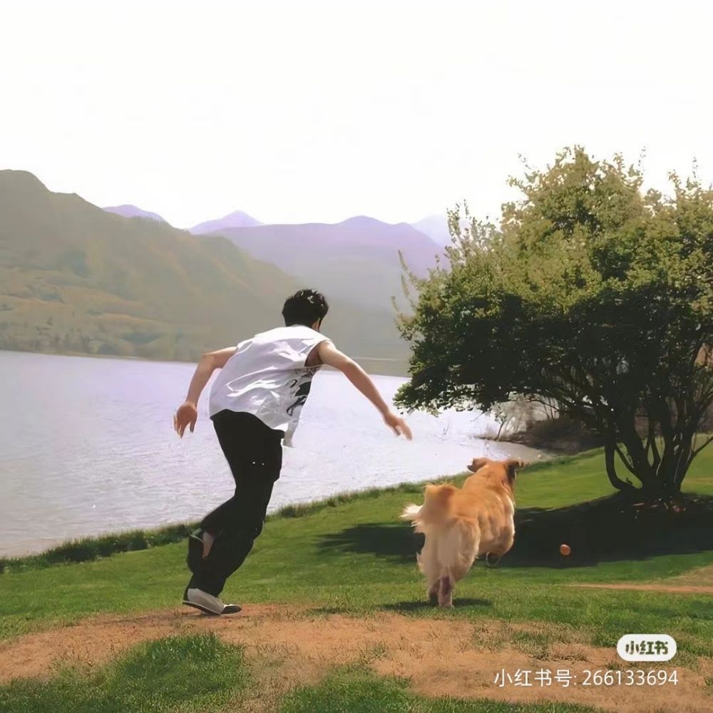 爱玩农牛
