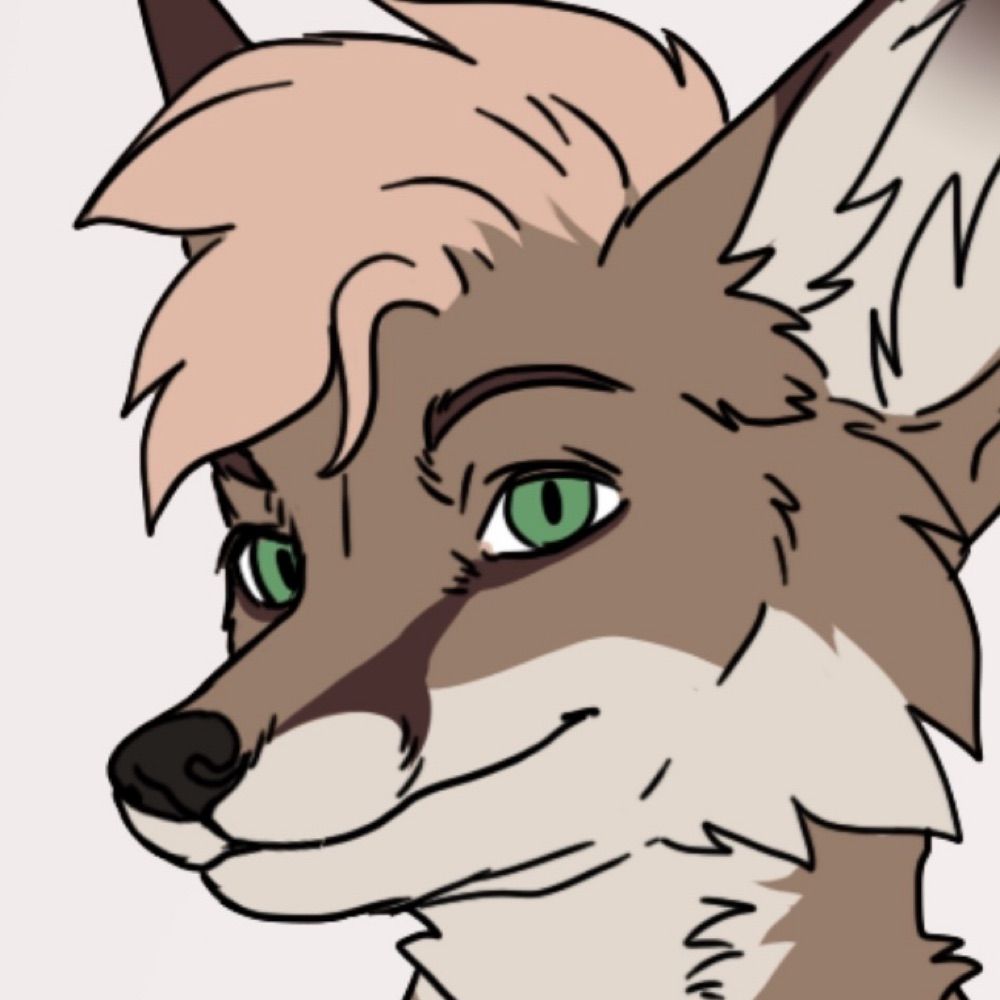 VentureFox