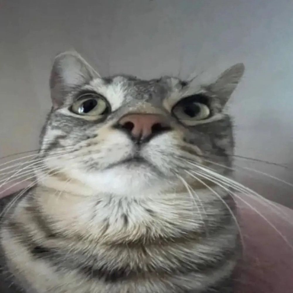 caat2